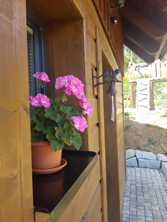 Villa Roubenka Strmá Jeseník Esterno foto